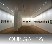 Our gallery